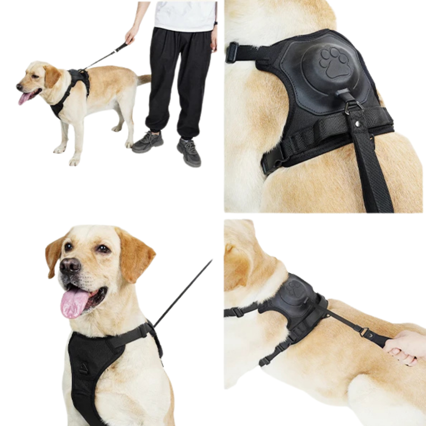 REELEASE™ 2-IN-1 DOG HARNESS