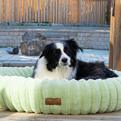 The Corduroy Dog Bed