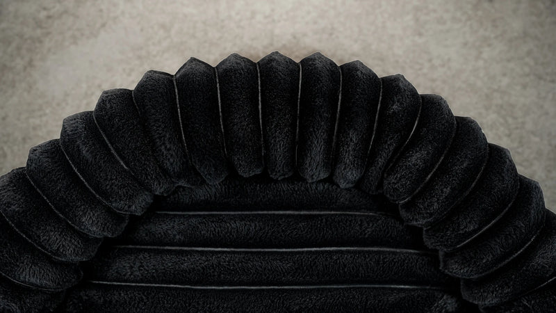 Hairy Housemates Corduroy dog bed in Black, top view