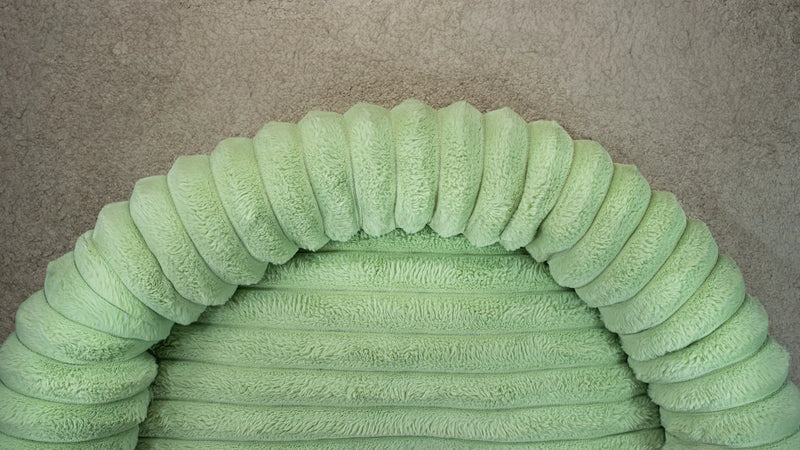 Hairy Housemates Corduroy dog bed in Pistachio, top view