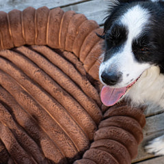 The Corduroy Dog Bed