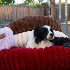 The Corduroy Dog Bed
