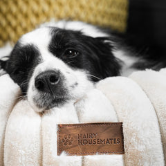 The Corduroy Dog Bed