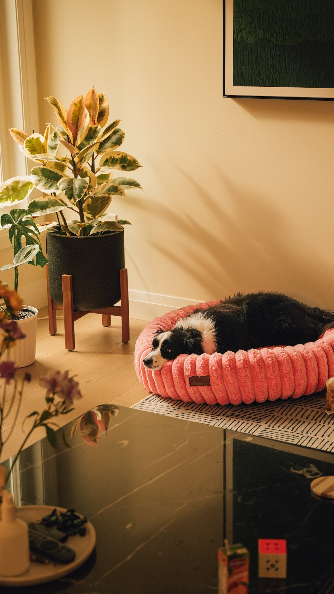 The Corduroy Dog Bed