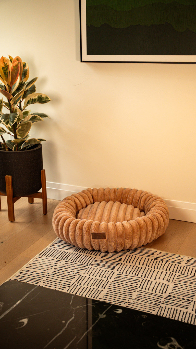 Hairy Housemates corduroy dog bed in Sand