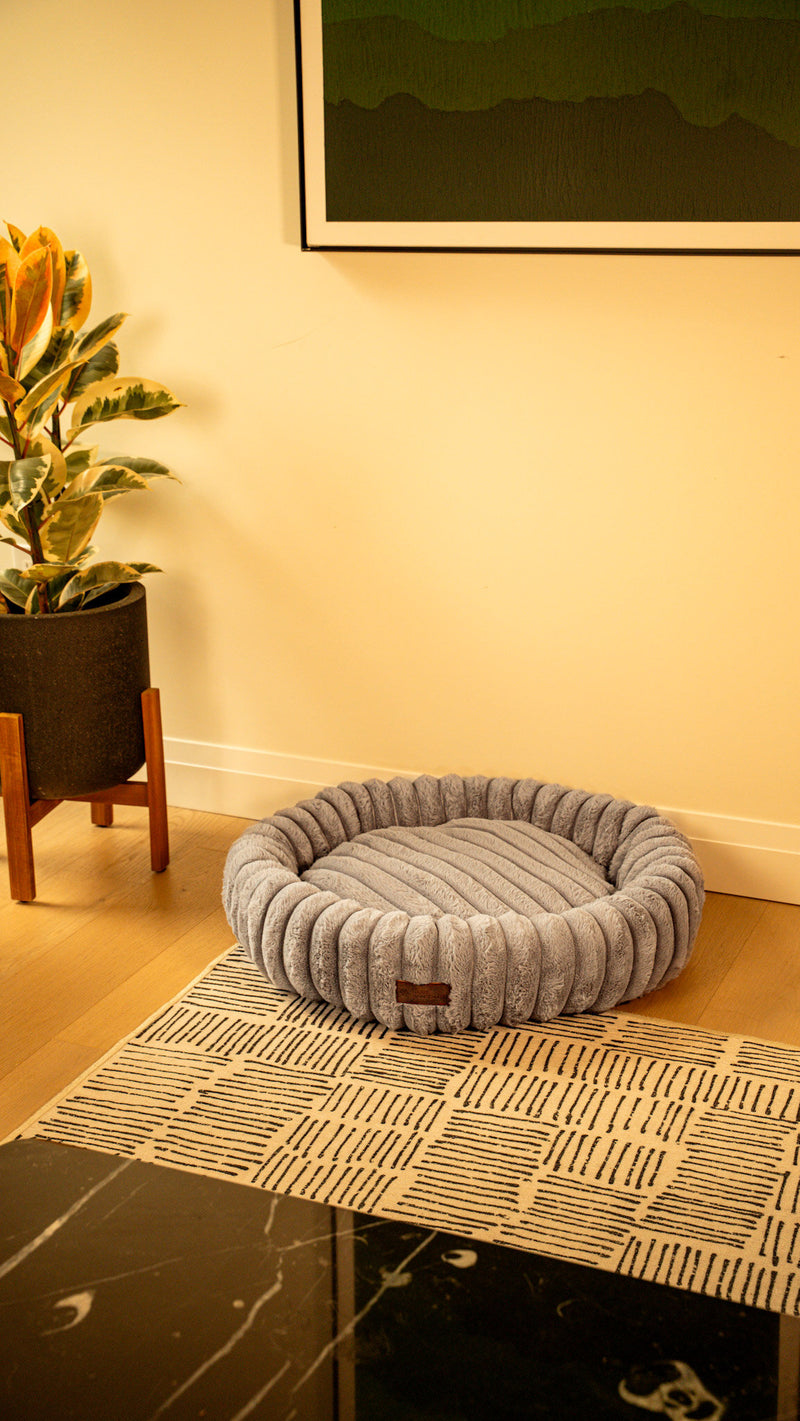 Hairy Housemates corduroy dog bed in Slate
