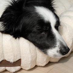 The Corduroy Dog Bed