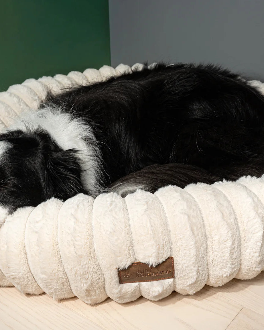 Dog on an Ivory corduroy dog bed beside the fireplace