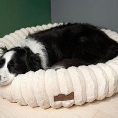 The Corduroy Dog Bed