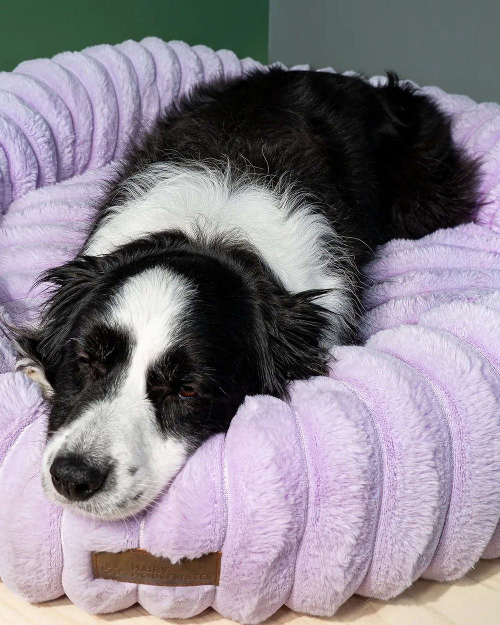 Dog resting on a Lilac corduroy dog bed