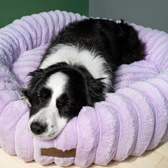 The Corduroy Dog Bed