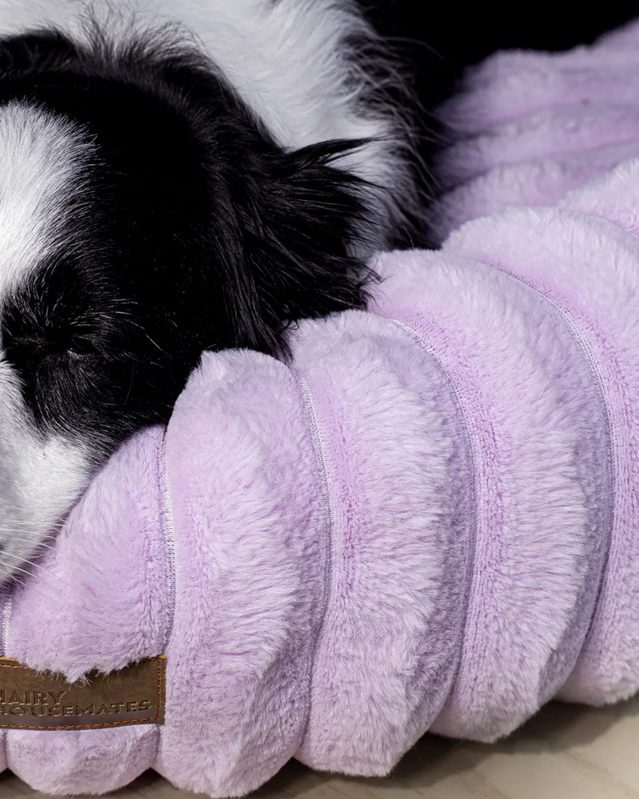 Toby asleep on a Lilac corduroy dog bed