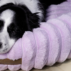The Corduroy Dog Bed