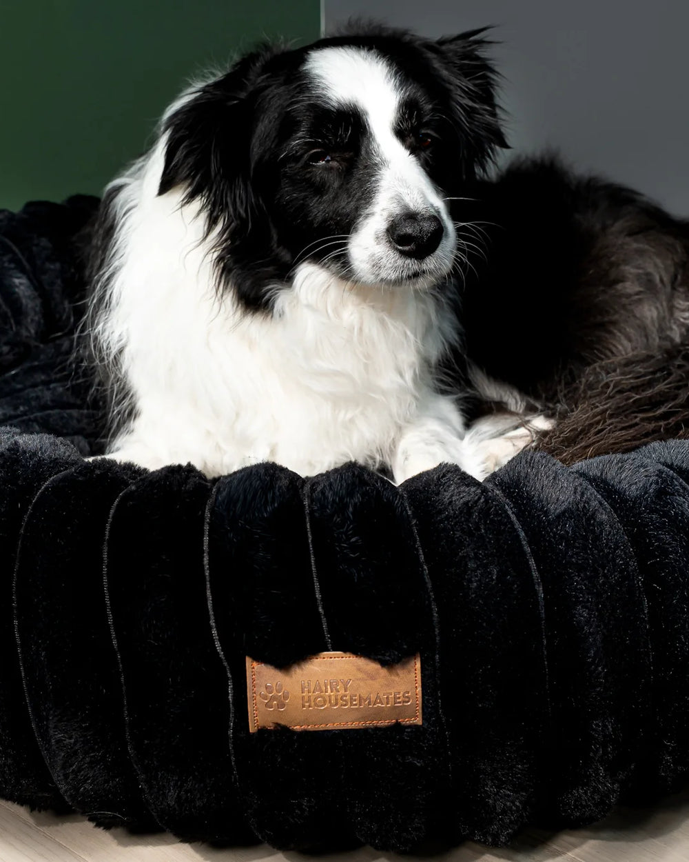 Dog resting on an Onyx corduroy dog bed