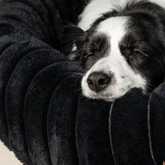 The Corduroy Dog Bed