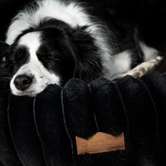 The Corduroy Dog Bed