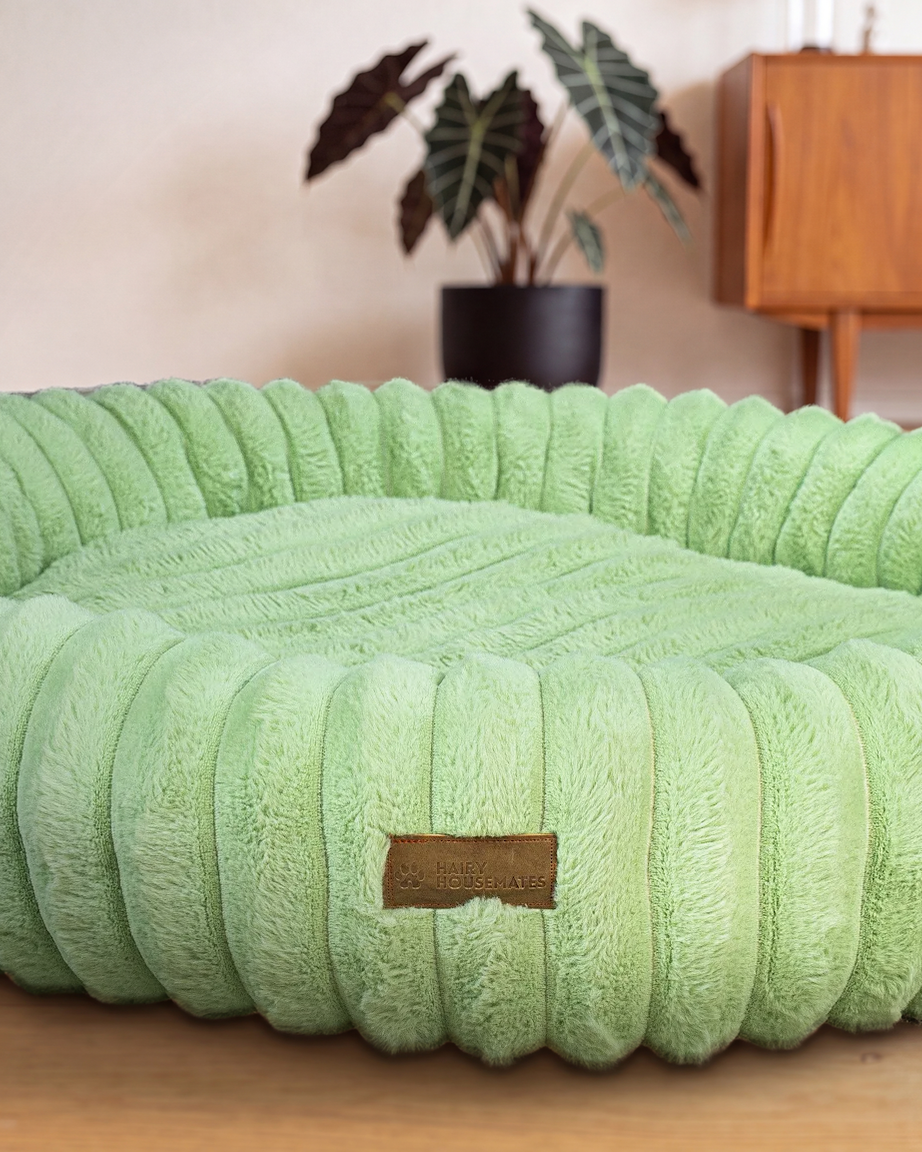 Hairy Housemates Corduroy dog bed in Pistachio, on the wooden floor
