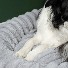 The Corduroy Dog Bed