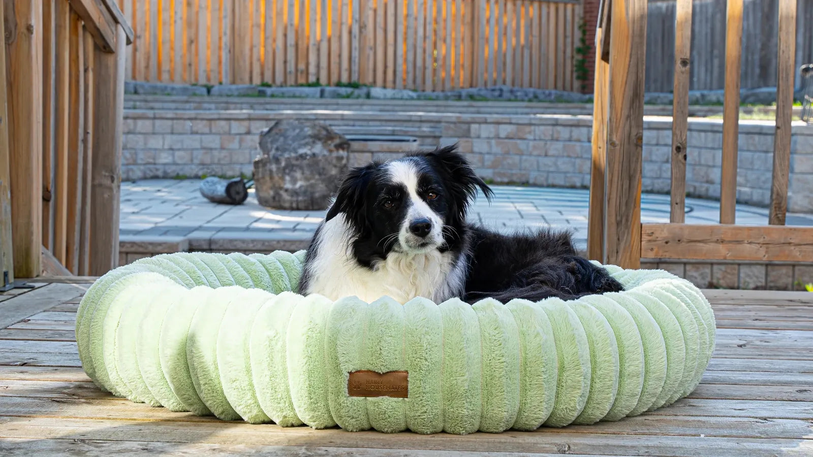 A border collie sits inside a pistachio green corduroy dog bed with the Hairy Housemates tab on show