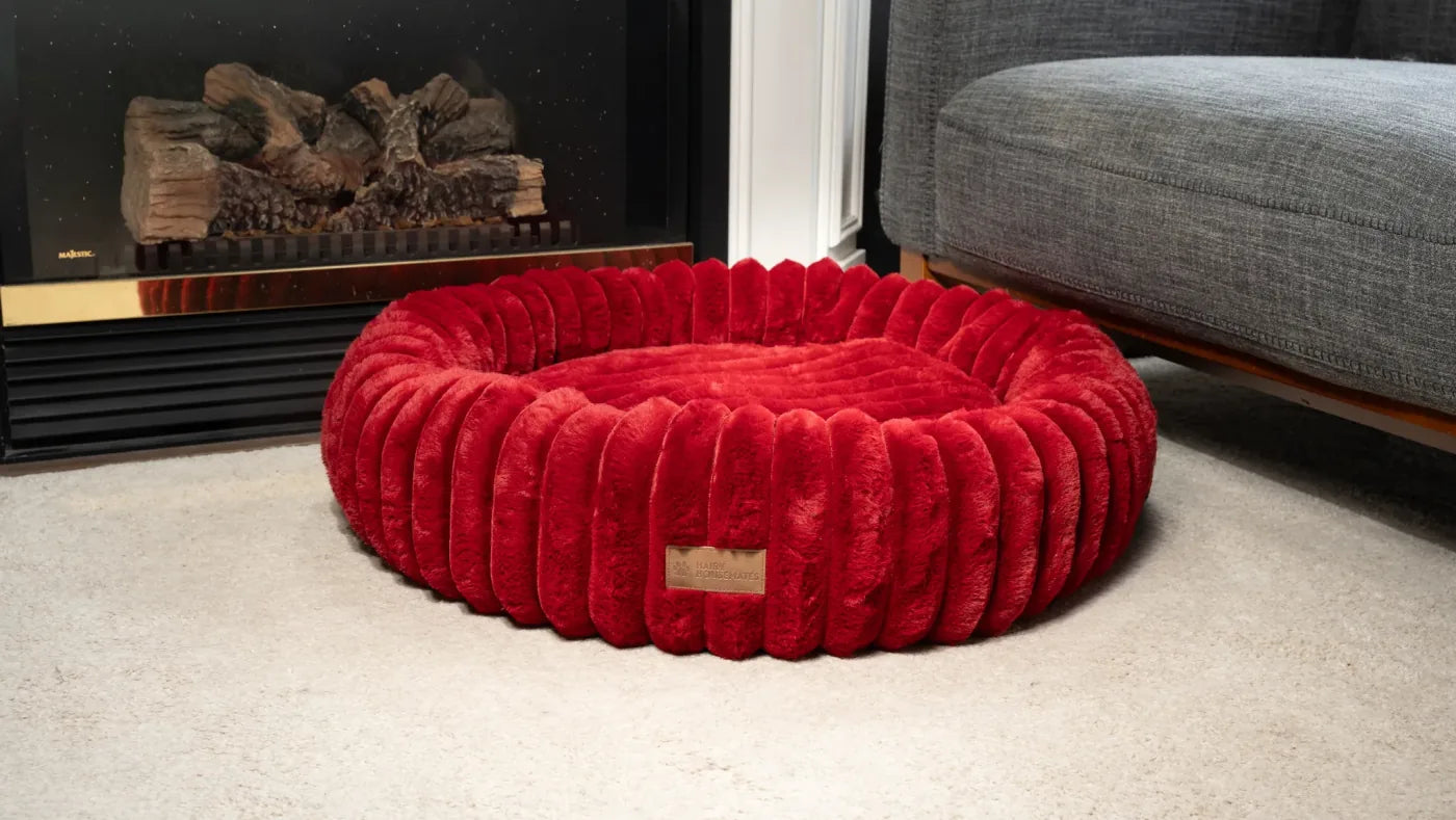 Crimson corduroy dog bed, photographed on a cream rug beside a sofa