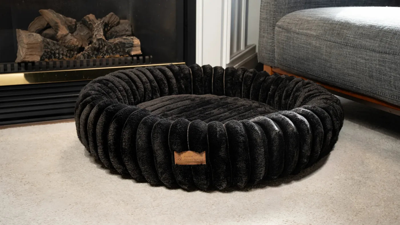 Onyx corduroy dog bed, photographed on a cream rug beside a sofa