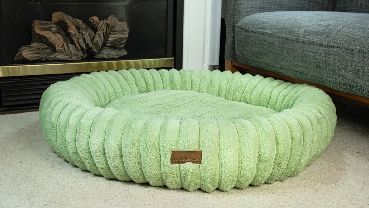 Pistachio corduroy dog bed, photographed on a cream rug beside a sofa