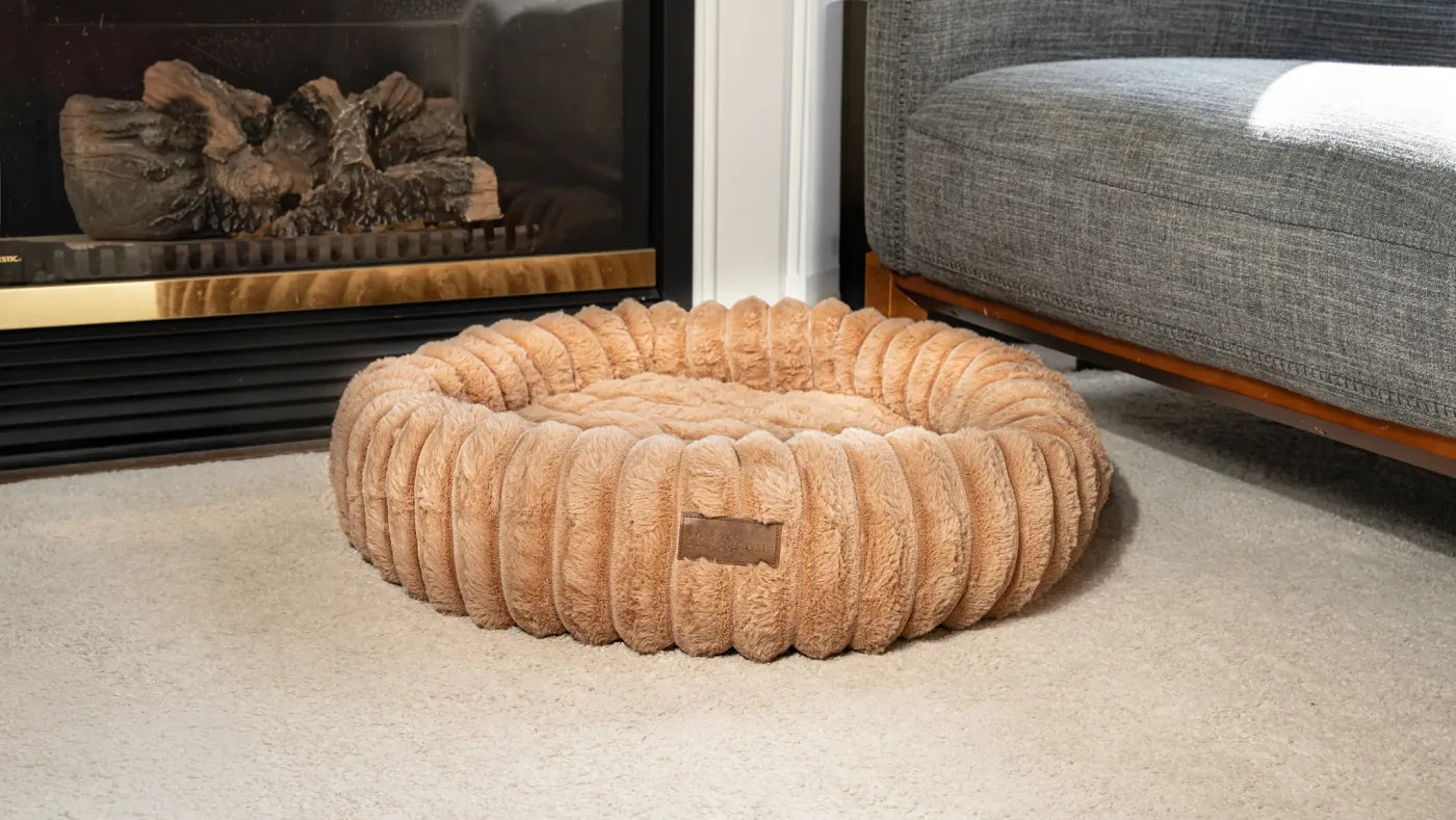 Sand corduroy dog bed, photographed on a cream rug beside a sofa